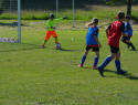 DSC_0783.JPG
