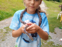 IMG_20240717_185150_443.jpg
