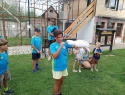 IMG_20240720_161616_905.jpg