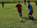 DSC_0773.JPG