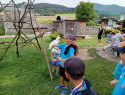 IMG_20240720_161447_481.jpg