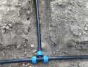 IMG_20260506_180136.jpg