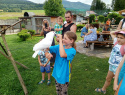 IMG_20240720_161527_153.jpg